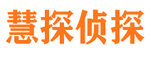 于洪侦探公司